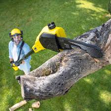 Best Tree Mulching  in Milford, PA