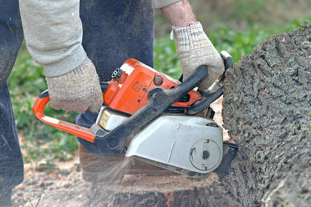Best Lawn Watering Services  in Milford, PA
