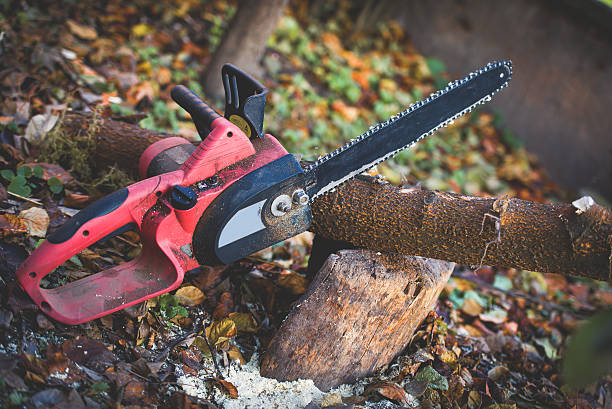 Best Utility Line Clearance  in Milford, PA
